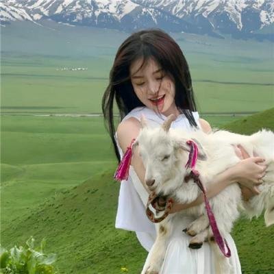 人面桃花长相忆